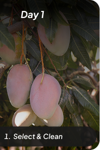khattai